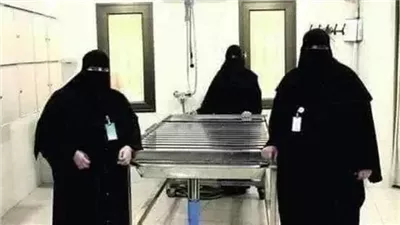 مالك فى المدينه